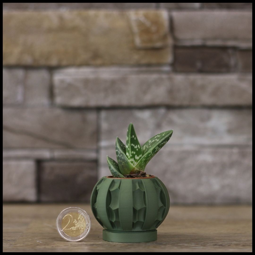 Vaso Mini modello BRASILIA - OLIVE GREEN