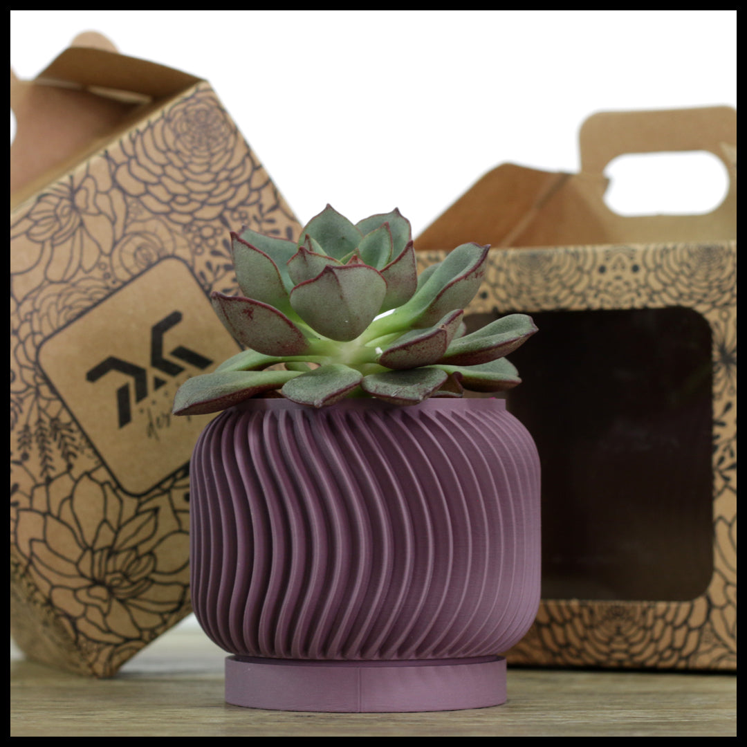 Vaso Tiny modello ESSEN - ASH PURPLE