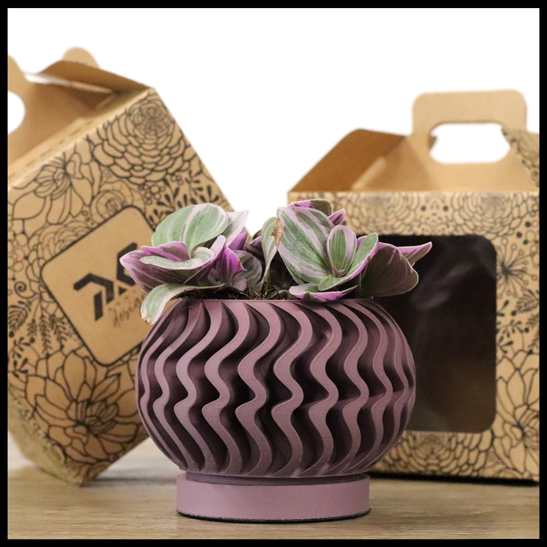 Vaso Tiny modello FORTALEZA - ASH PURPLE