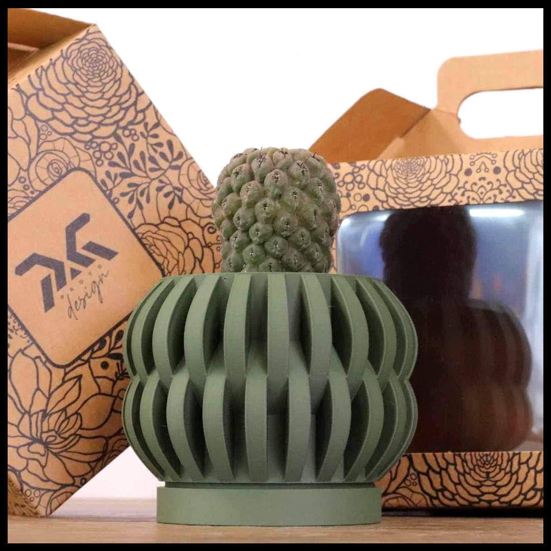 Vaso Tiny modello MYKONOS - OLIVE GREEN