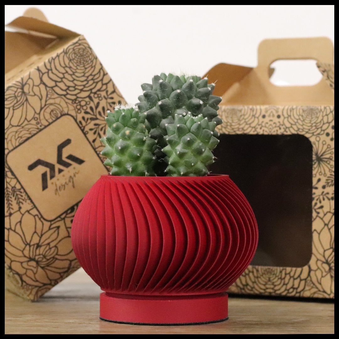 Vaso Tiny modello ARUBA - CHERRY RED