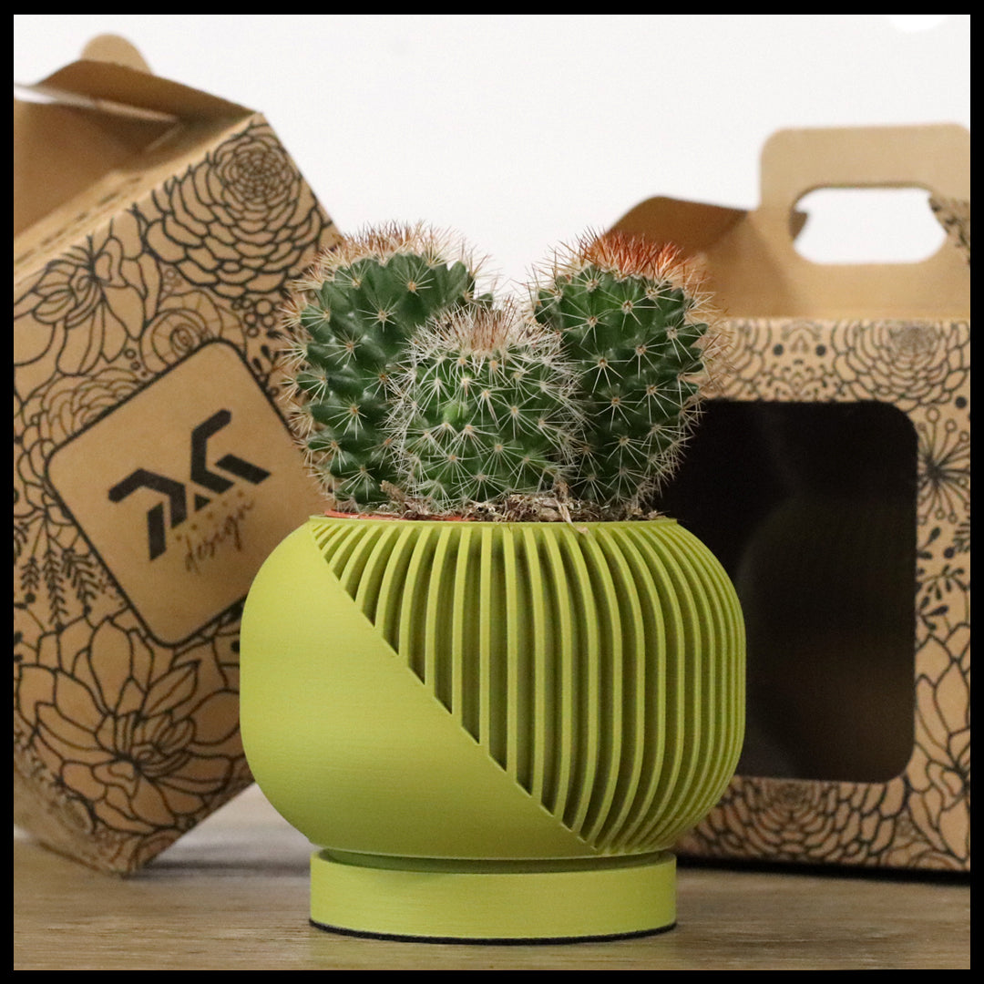 Vaso Tiny modello MALAGA - MUSTARD GREEN