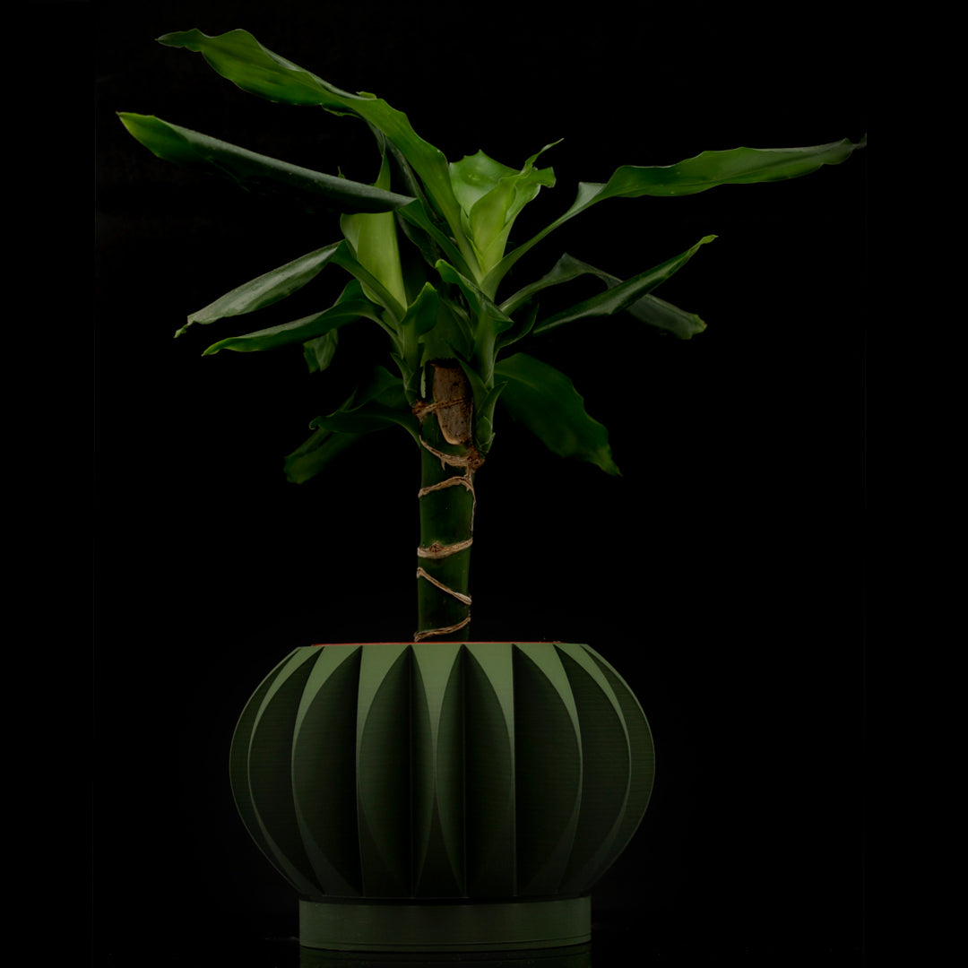 Vaso design modello HONOLULU - OLIVE GREEN