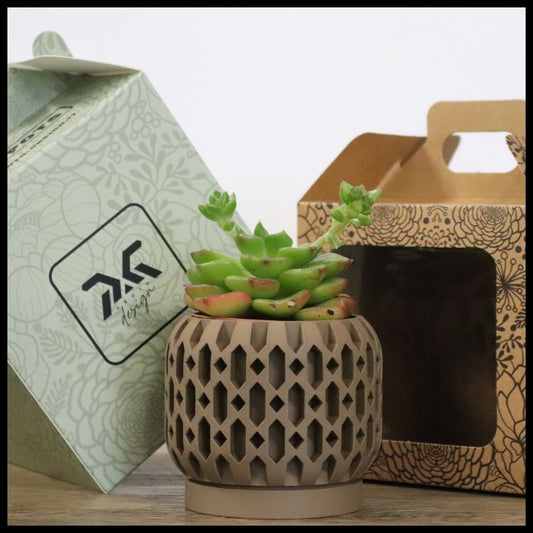 Vaso Tiny modello JAKARTA - MALT CLAY