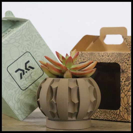 Vaso Tiny modello BRASILIA - MALT CLAY