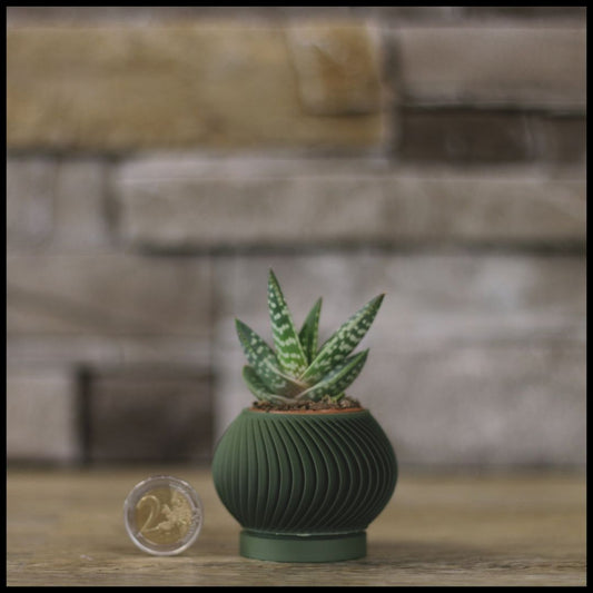 Vaso Mini modello ARUBA - OLIVE GREEN