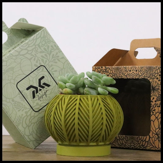 Vaso Tiny modello BALI - MUSTARD GREEN