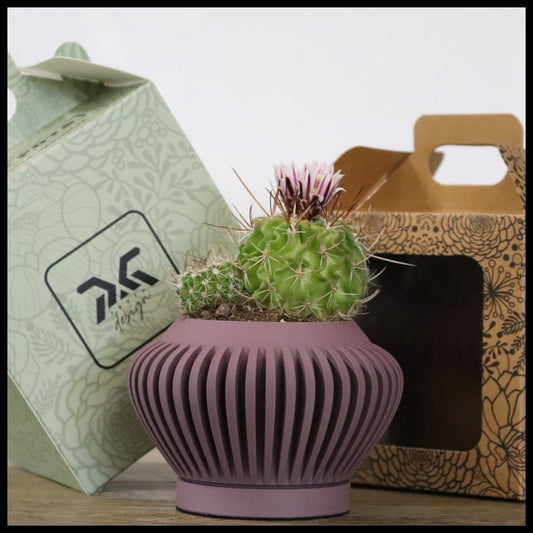 Vaso Tiny modello CASCAIS - ASH PURPLE