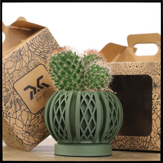 Vaso Tiny modello SHANGHAI - OLIVE GREEN