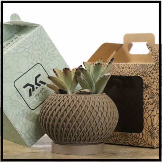 Vaso Tiny modello DELHI - MALT CLAY