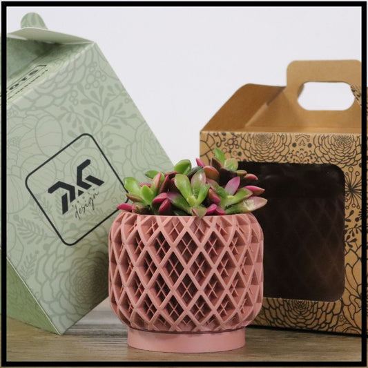 Vaso Tiny modello TAORMINA - CLASSIC ROSE