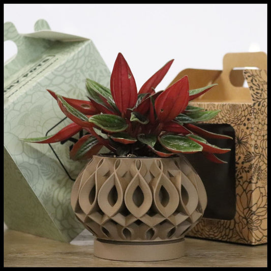 Vaso Tiny modello FORTALEZA - MALT CLAY