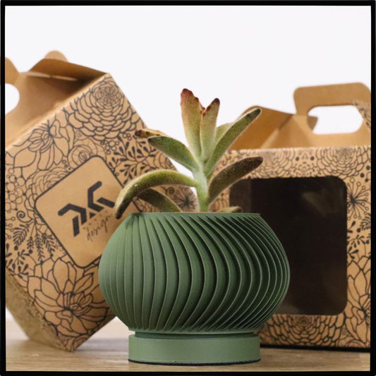Vaso Tiny modello ARUBA - OLIVE GREEN