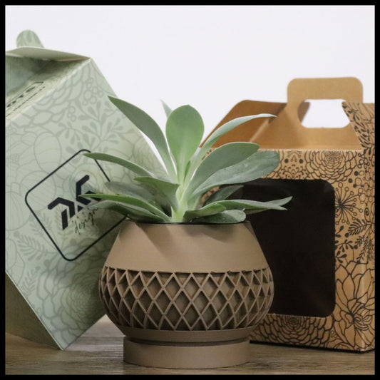 Vaso Tiny modello MARRAKECH - MALT CLAY