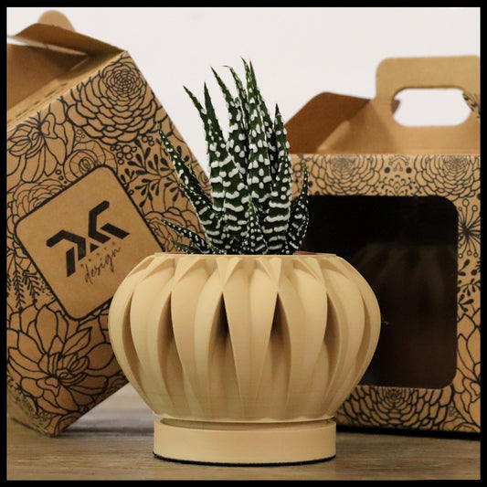 Vaso Tiny modello ABU DHABI - MATTE KRAFT