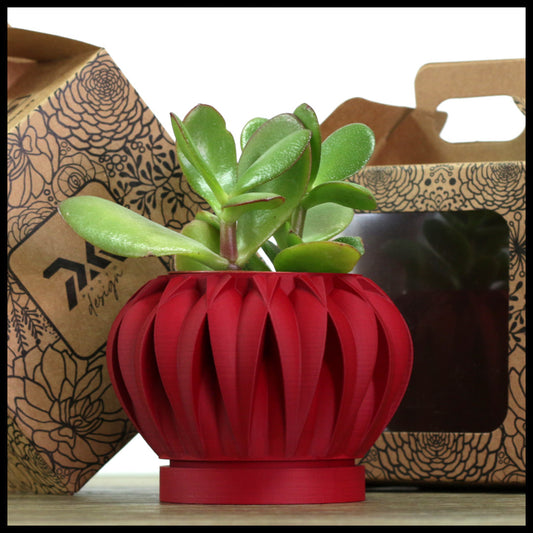 Vaso Tiny modello ABU DHABI - CHERRY RED