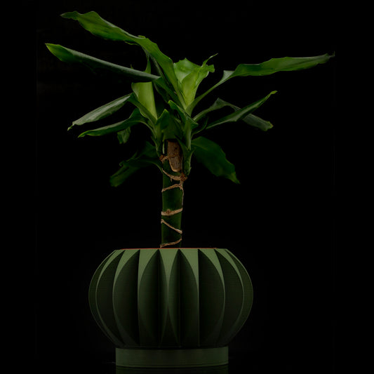 Vaso design modello HONOLULU - OLIVE GREEN